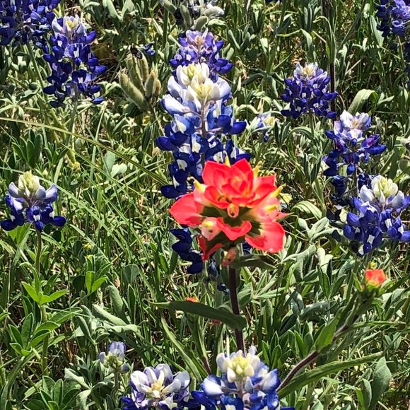 Welcome to my 2025 Posh Closet! - Picture 6 of 10